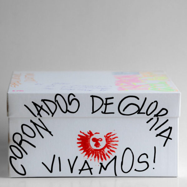 BOX EDICIÓN LIMITADA – THE PUR × ROKKUS - Image 4